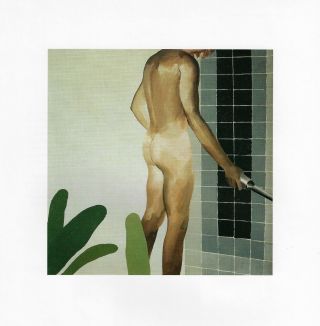 David Hockney Book Print " Man In A Shower " Slender Youth Nude Rear View