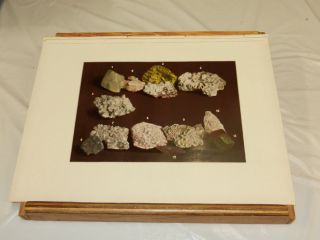1904 Antique Mexico Color Print/mineral Samples From Mexico///b