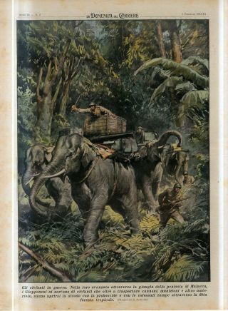 1942 Ww2 Elephants At War.  Japanese Troop Use Elephants In Malacca Jungle Print