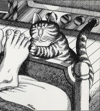 B Kliban Cats TOE TICKLING CAT REFLEXOLOGY Vintage Funny Cat Art Print 2