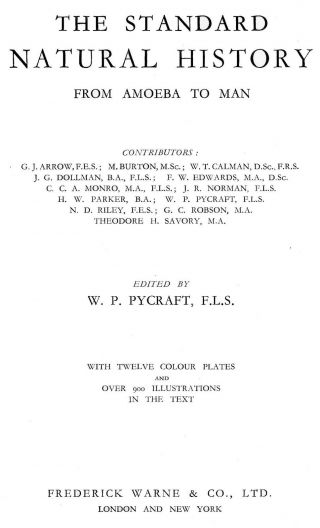 1931 PYCRAFT STANDARD NATURAL HISTORY LITHOGR.  bugs,  beetle,  moths,  butterflies 2