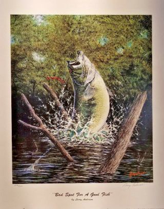 Bad Spot For A Good Fish Larry Anderson Signed Numbered 276/350 Bass 18 " X 22.  5 "