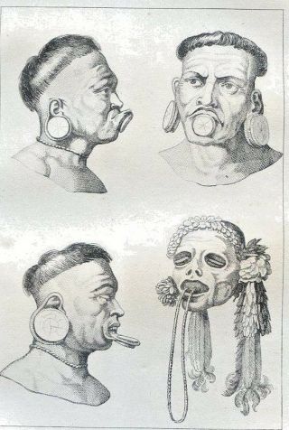Brazil,  Amazonia,  Heads Of The Botocudos Tribe.  Antique Engraving.  1837