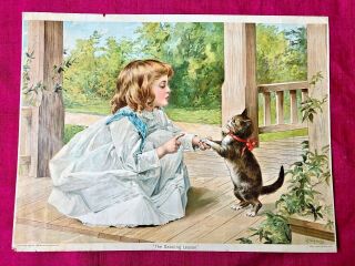 1899 Woolson Spice Co Gray Litho Print Girl Cat,  A.  W.  Adams The Dancing Lesson