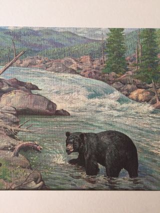 Black Bear & Cubs Fishing Vintage 1960’s Art Print By Michael Mathias Kiefer 2