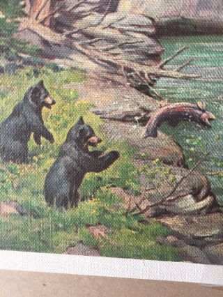 Black Bear & Cubs Fishing Vintage 1960’s Art Print By Michael Mathias Kiefer 3