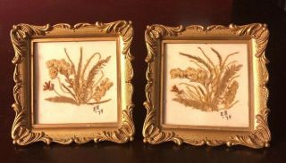 Vintage Set Of 2 Gold Framed 3” Wall Or Table Pictures Of Dried Flowers 1970’s