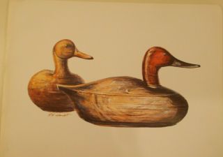 R F Harnett Vintage Litho Mallard " Canvasback " Decoys By Arthur A.  Kaplan