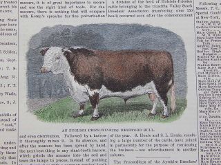 The Cultivator & Country Gentleman,  In - Text Illustration 22 Hereford Bull