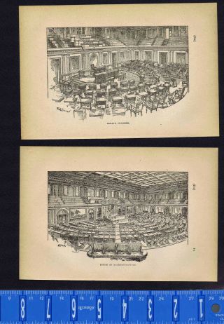 U.  S.  House Of Representatives & Senate Chamber - 1896 Wood - Engraved Prints