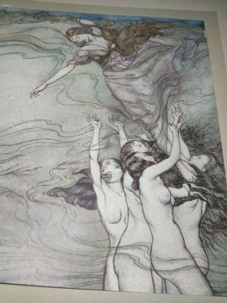 Arthur Rackham Tipped In Illustrated Color Plate From The Early 1900s Comus Book