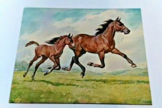 Horse By Brown Litho Print Winde Fine Prints Vintage 11 X 14 Running Horses