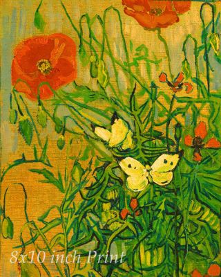 Butterflies And Poppies By Vincent Van Gogh - Flowers Insect 8x10 Print 2227
