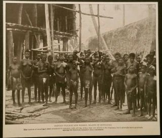 1899 Papuan Tribe Village Women,  Island Of Mindanao,  Philippines,  Photo Print