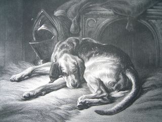 Sir Edwin Landseer - Dog,  Sleeping Bloodhound.  Engraving By Lewis.  Ca.  1875