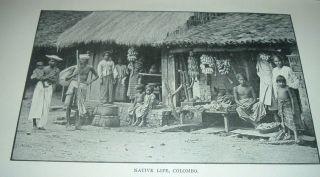 1897 Antique Print Native Life Colombo India