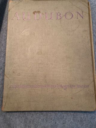 Vintage John James Audubon,  Snowy Egret Print,  Roger Tory Peterson Commentary 4