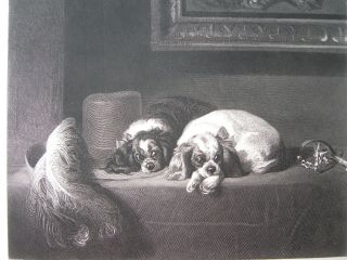 Sir Edwin Landseer - Two Dogs.  Engraving By J.  Outrim.  Ca.  1875