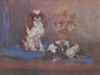 Vintage Cavalier King Charles Spaniel Dogs Toy Breeds Color Art Print 1935
