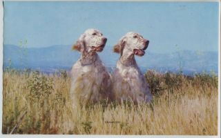 Vintage English Setter Hunting Dogs Pair Print Titled: Champions