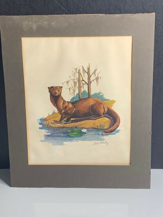 1969 Hand Signed Bill Wesling Lithograph Print” Otter With Foot On Fish”
