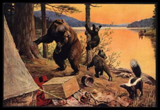 " Time For Action " Bear Cub Skunk Camp Raid Art Print By Philip R.  Goodwin