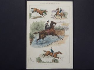 Illustrated Sporting And Dramatic News 3s26 The Islington Horse Show June 1880