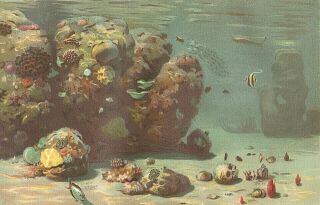 1878 Vintage Ocean Rock Reef,  Sea Fish,  Coral,  Skull Chromolithograph