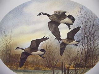 David Hagerbaumer Limited Edition Hand Signed Print Geese