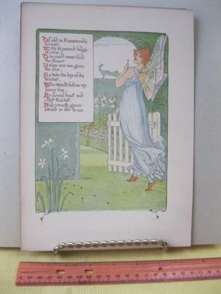 Vintage Print,  Rosamond,  Walter Crane,  1899,  Harper Bros,  Floral Fantasy