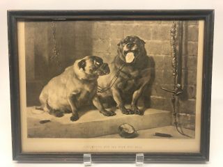 Old Framed Edwin Landseer Art Print “uncle Tom And His Wife For Sale” Pug Dogs