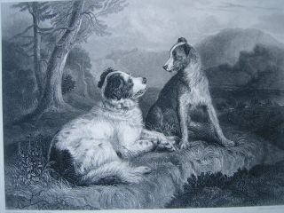 Sir Edwin Landseer - The Two Dogs.  Engraving By Ch.  G.  Lewis.  Ca.  1875