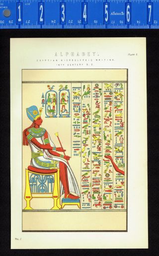 Alphabet: Egyptian Hieroglyphics 16th Century - 1880s Science Print