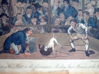 Antique IR & G Cruikshank Dog Fight Hand Colored Print circa 1820s Tom & Jerry 3