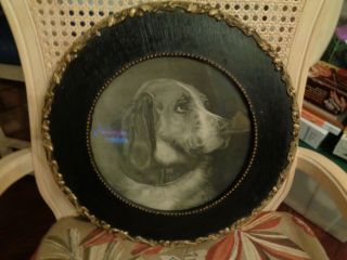 Vintage/antique Round Framed Picture Of Black And White Bird Dog