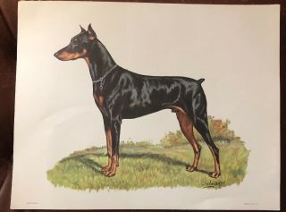 Vintage Ole Larsen Dog Print Only 11” X 14”