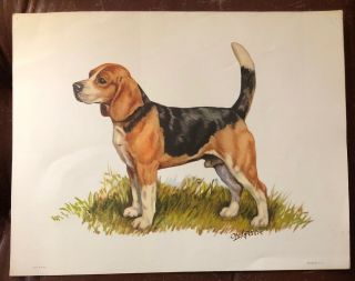 Vintage Ole Larsen Beagle Dog Print Only 11” X 14”