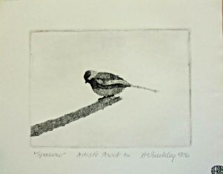 Harry E.  Buckley (1930 - 2010) Etching " Sparrow " Artist 