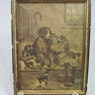Antique Stanley Berkley Print 1892 Young Girl Plays With Dogs In Barn 6x8