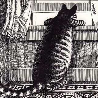 B Kliban Cats NOSY NEIGHBOR CAT AT WINDOW vintage funny cat art print 3