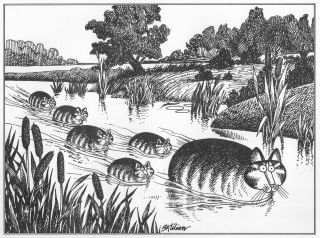 B Kliban Cats RIVER CATS vintage funny cat art print 2