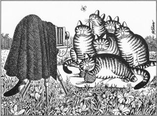 B Kliban Cats CAT FAMILY PORTRAIT vintage funny cat art print 2