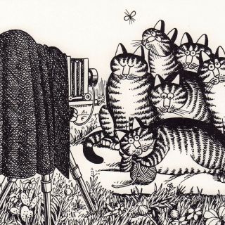 B Kliban Cats CAT FAMILY PORTRAIT vintage funny cat art print 3