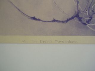 THE DRYAD ' S WAYWARDNESS 1860 JOHN RUSKIN ENGRAVING / 3