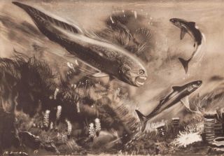 Prehistoric Shark And Fish: Dinichthys & Cladoselache By Z.  Burian 1963 9x13 "