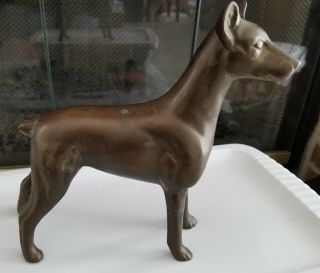 Vintage Doberman Pinscher Solid Bronze Msr Dog Statue Figurine 7 " X 7 "