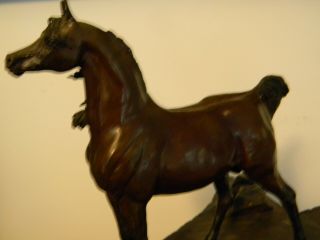 ELIZABETH GUARISCO BRONZE HORSE 