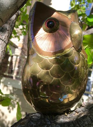 Mid Century Modern Copper & Brass Owl Sculpture Sergio Bustamante A,  RARE 5