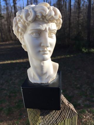 A.  Giannelli Bust Of David Sculpture,  Michelangelo’s David,  Made In Italy 1965